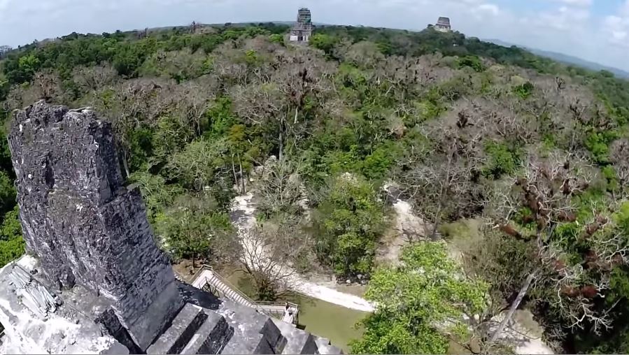 Tikal Plaza Central Vista Templo 'V'